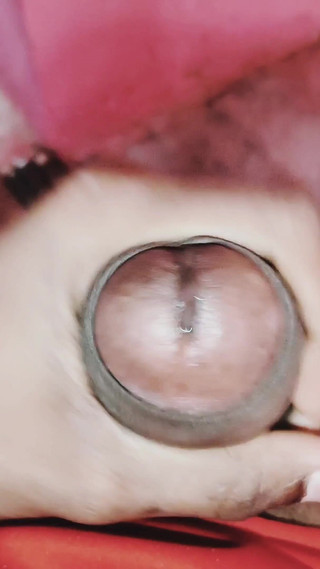 Sarvice Available 100 Only Telegram Xmama963