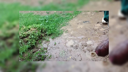Started Waving Goodbye From Outside in Memory of Stepsister