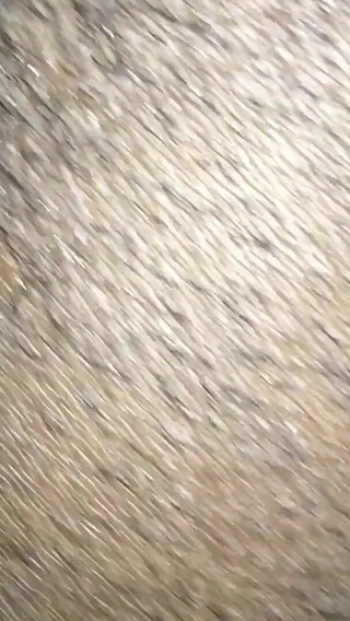 Black Adventures 120