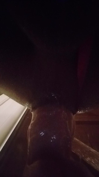 Big Dildo in Anal Pussy