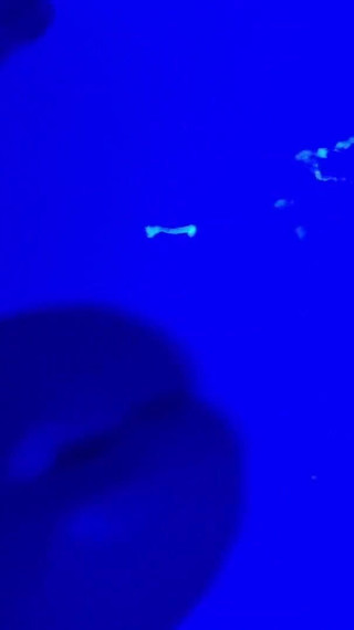 Amateur Shower Jerk Off - Italian Boy Jerks Off in Shower